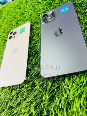 Apple iPhone 12 Pro 256GB (Used)