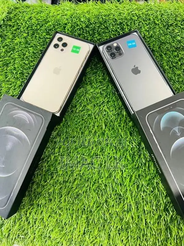 Apple iPhone 12 Pro 256GB (Used)