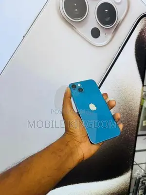 Apple iPhone 13 256GB Blue Fullset (Used)
