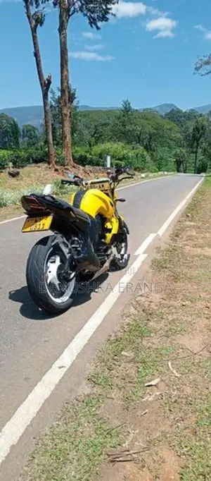 Yamaha FZS V1 2012