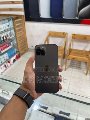 Apple iPhone 12 Pro 256GB (Used)