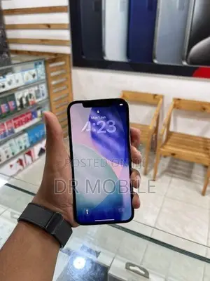 Apple iPhone 12 Pro 256GB (Used)