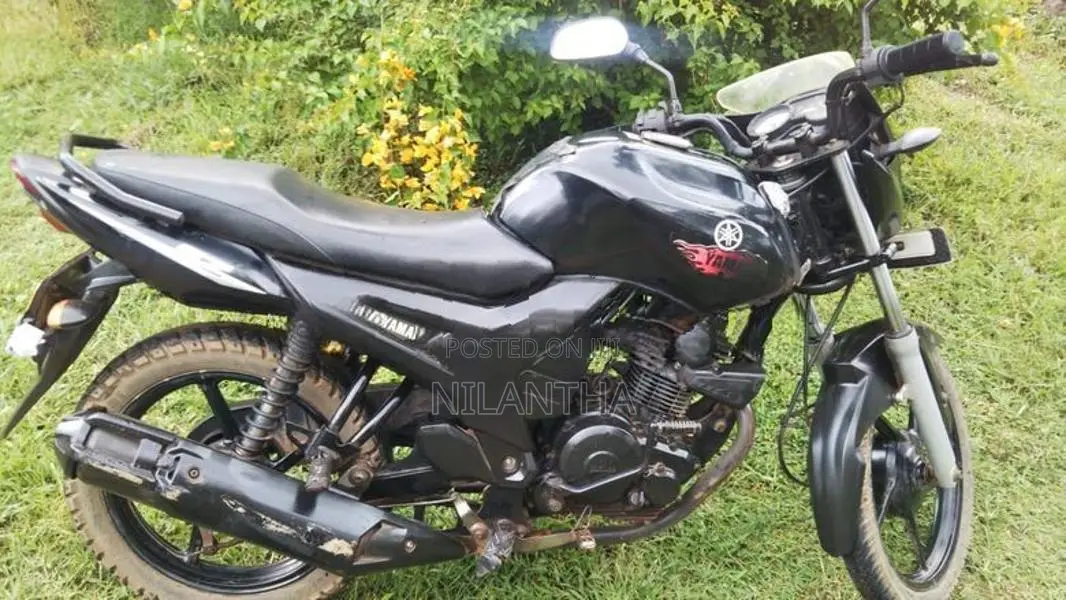 Yamaha SZR 2010