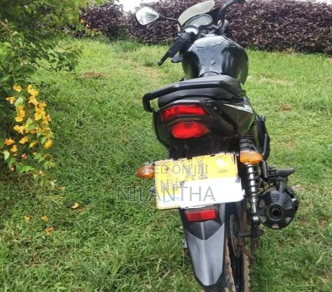 Yamaha SZR 2010