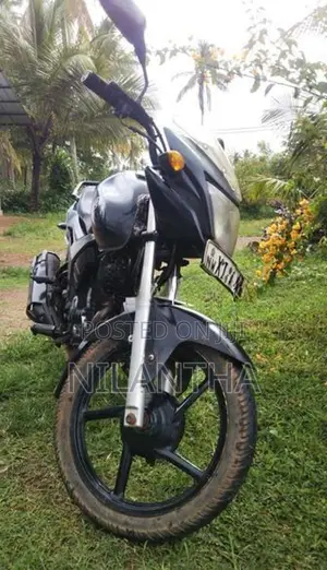 Yamaha SZR 2010