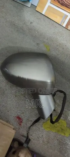 Side Mirror