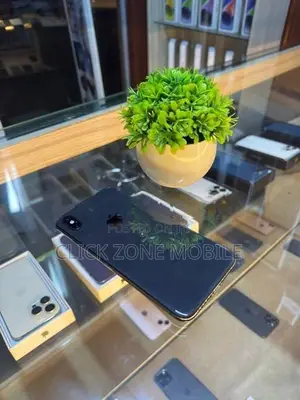Apple iPhone XS Max 256GB (Used)