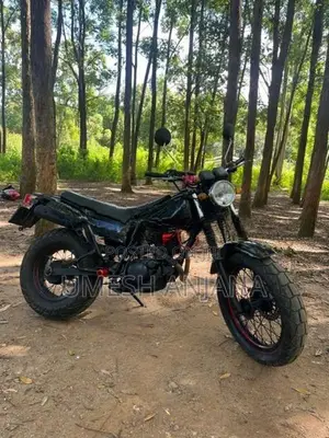 Yamaha TW 200 2010
