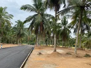 කඩවත වෑබඩ සුපිරි තැනක්
