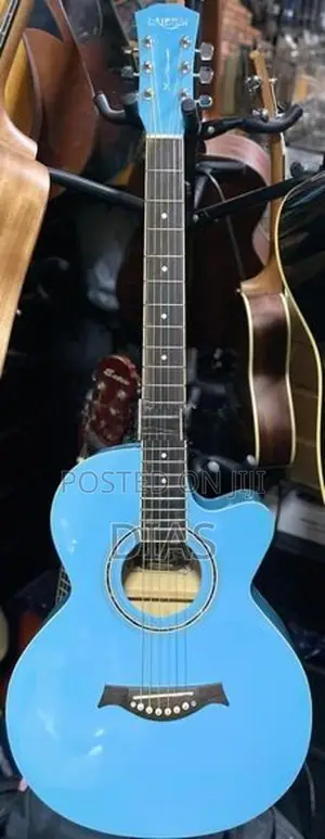Japan Acoustic Guitar