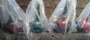 Grass Cutter