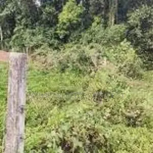 Flat Residential Land for Sale – Moronthuduwa, Bandaragama