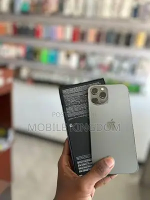 Apple iPhone 12 Pro 256GB (Used)