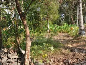 Land for Sale – Near Kandy Colombo Main Road (Kandahena Road)