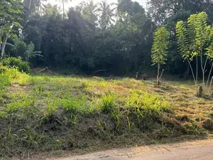 වේයන්ගොඩ ඉදිවෙමින් පවතින අධිවේගී පිවිසුමට ලගින් පර්චස් 40 ක ඉඩම