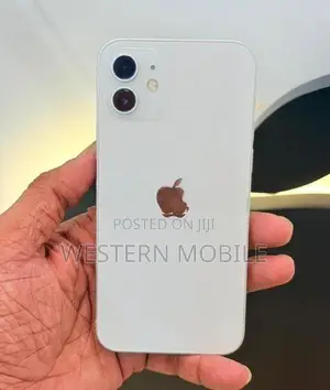 Apple iPhone 12 (Used)
