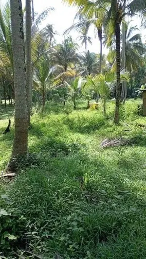 Land for Sale in Ibbagamuwa