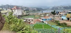 Farming land for Sale – Nuwara Eliya (Town Side)