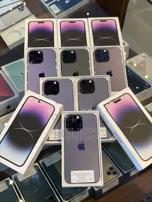 Apple iPhone 14 Pro Max 256GB (Used)