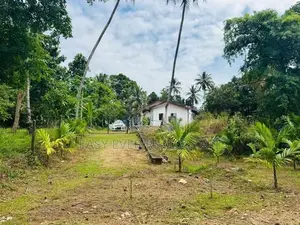 නිට්ටඹුවෙන් වෙල් යායකට මායිම් අගනා ඉඩමක්