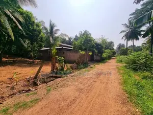 දිවුලපිටියෙන් ඉඩම් කැබලි 2ක්