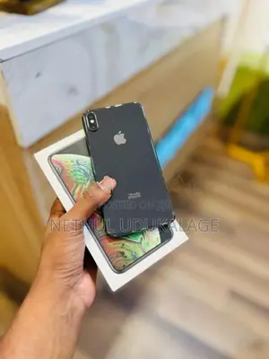 Apple iPhone XS Max 256GB | Grey (Used)