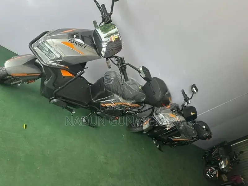 ZHENBAO sport 2026