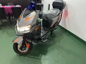 Zhenbao Sport 2026