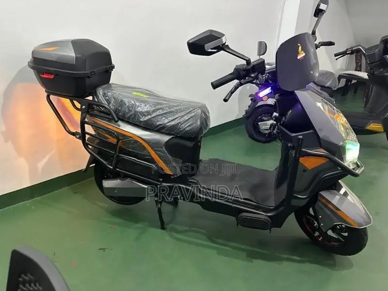 Zhenbao Sport 2026
