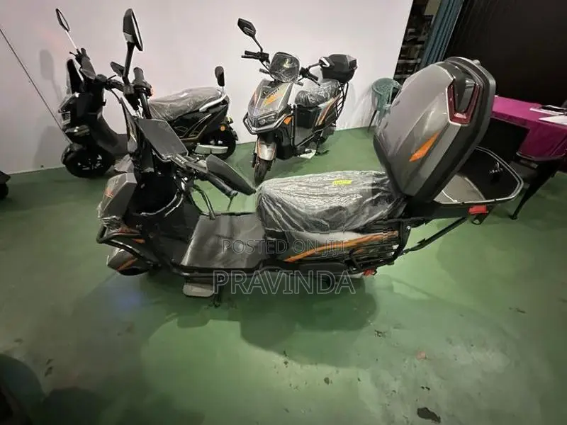 Zhenbao Sport 2026