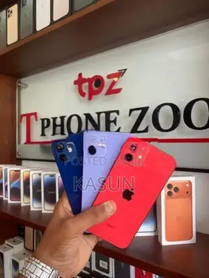 Apple iPhone 12 (Used)