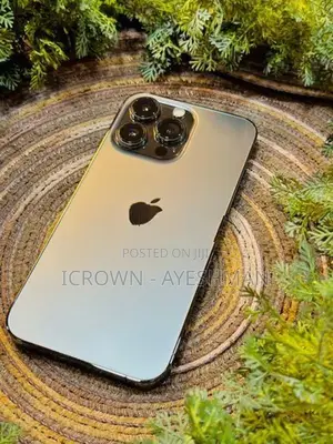 Apple iPhone 13 Pro 256GB (Used)