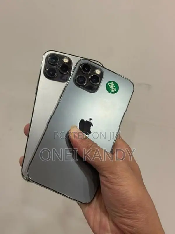 Apple iPhone 12 Pro 256GB (Used)