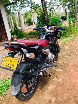 Bajaj Pulsar 135 XC 2010