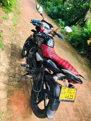 Bajaj Pulsar 135 XC 2010