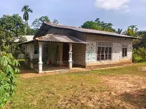 නිට්ටඹුව පර්චස් 10 සහිත වටිනා නිවස