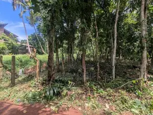 මිනුවන්ගොඩ නගරයට ආසන්නයෙන් සුපිරි ඉඩමක්