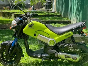 Honda Navi 2017