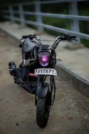 Honda Navi 2019