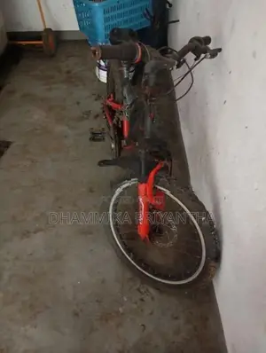 Mountain Bicycle