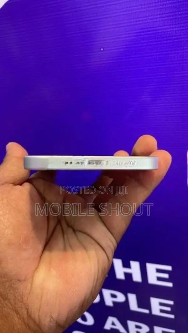 Apple iPhone 15 Plus (Used)