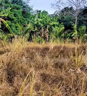 Land for Sale Monaragala