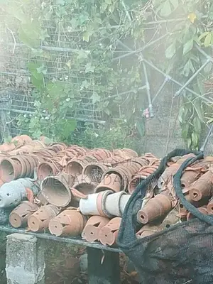 Orchid Flower Pots 200