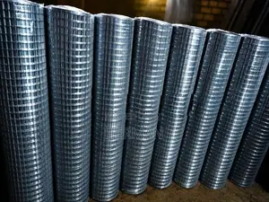 Welded Galvanized Mesh