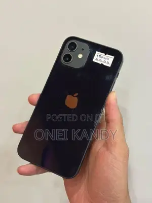 Apple iPhone 12 128GB (Used)