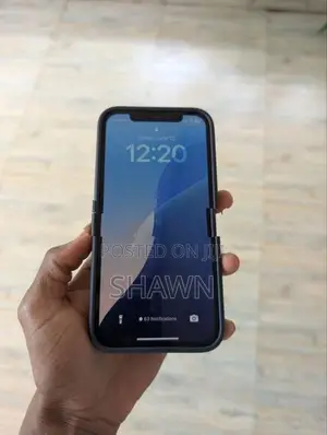 Apple iPhone 12 (Used)