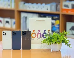 Apple iPhone 12 Pro 256GB (Used)