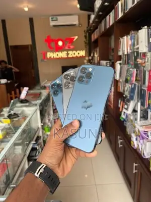 Apple iPhone 12 Pro Max 256GB (Used)