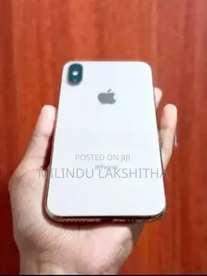 Apple iPhone XS 256GB (Used)