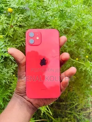 Apple iPhone 12 (Used)